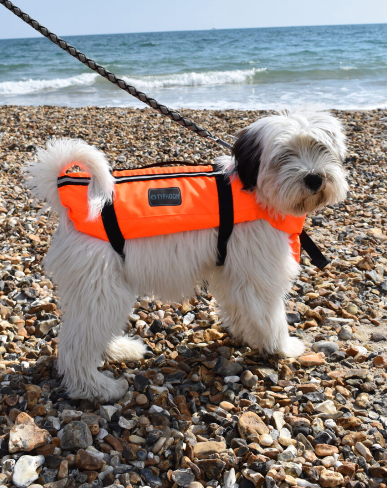 Typhoon Dog Buoyancy Aid - Orange/Black