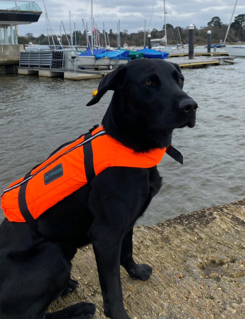 Typhoon Dog Buoyancy Aid - Orange/Black