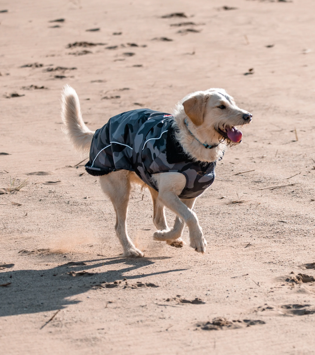 Dryrobe Dog Black/Camo