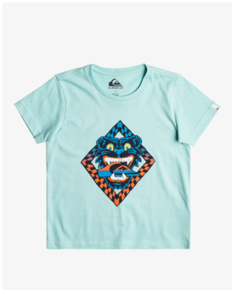 Quiksilver Dirty Paws - T-Shirt For Boys ===SALE==-==