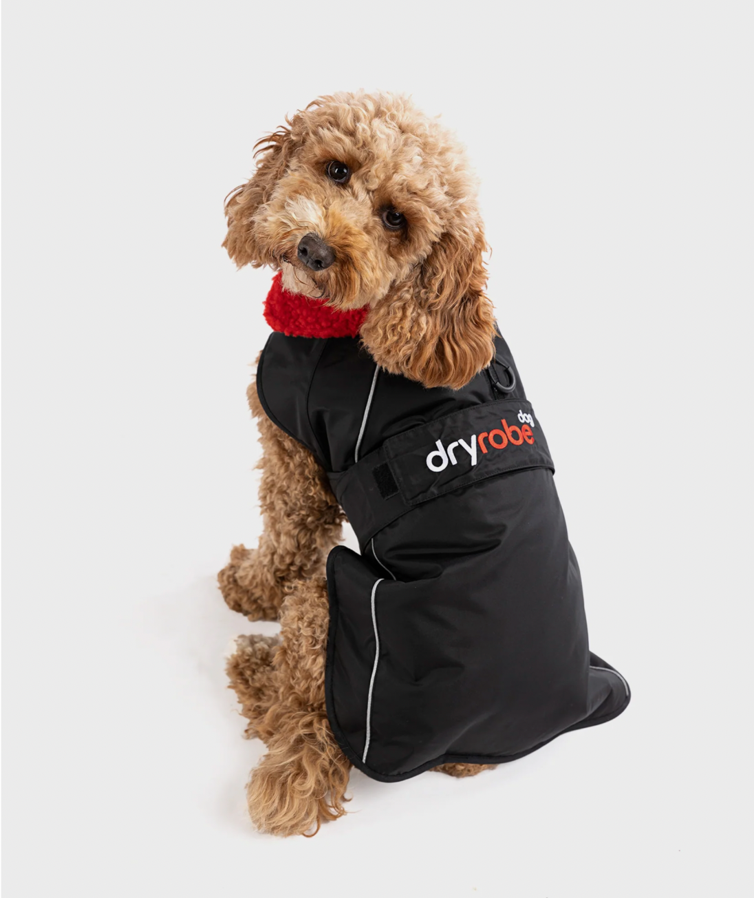 Jobe Pet Vest Lime Teal==== Black/Red===SALE