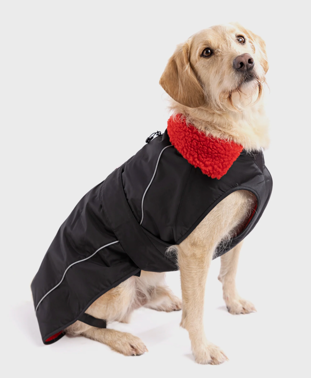 Jobe Pet Vest Lime Teal==== Black/Red===SALE