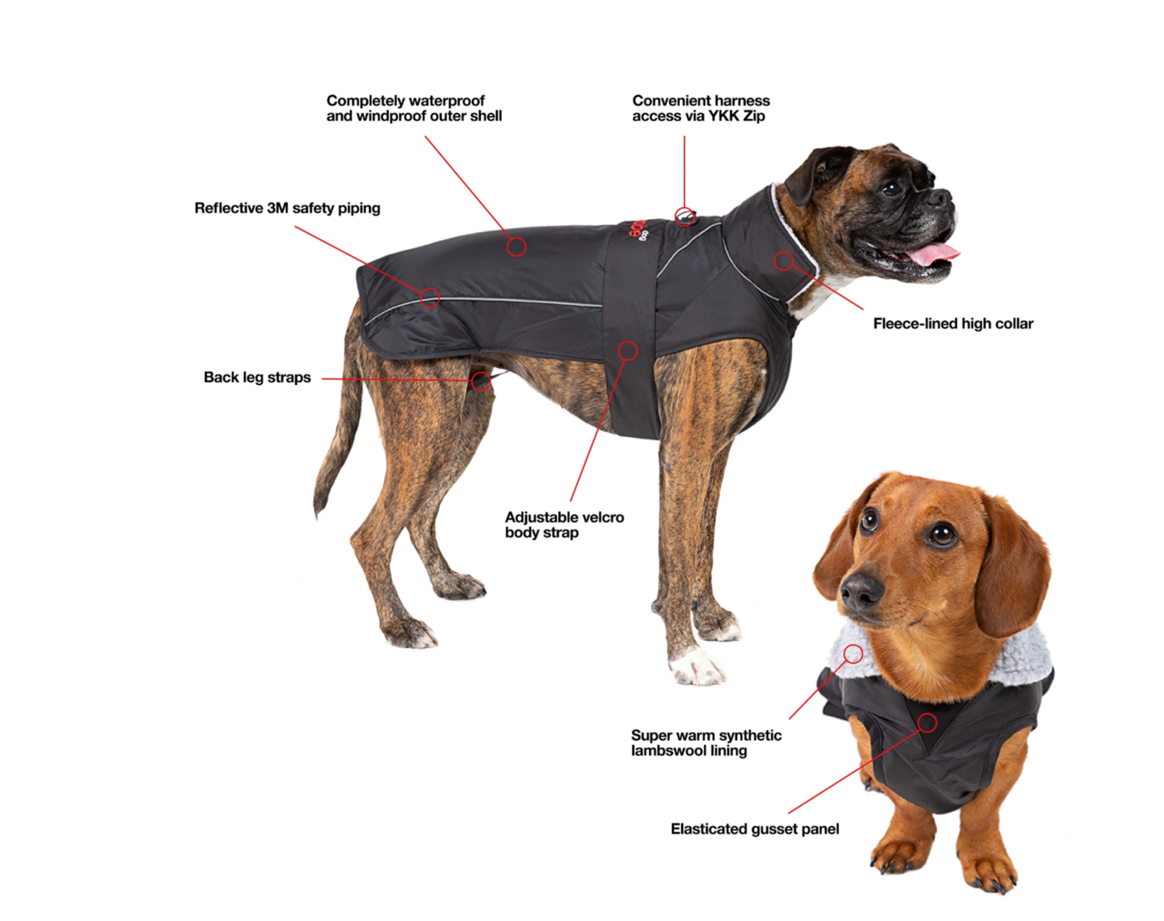 Jobe Pet Vest Lime Teal==== Black/Red===SALE