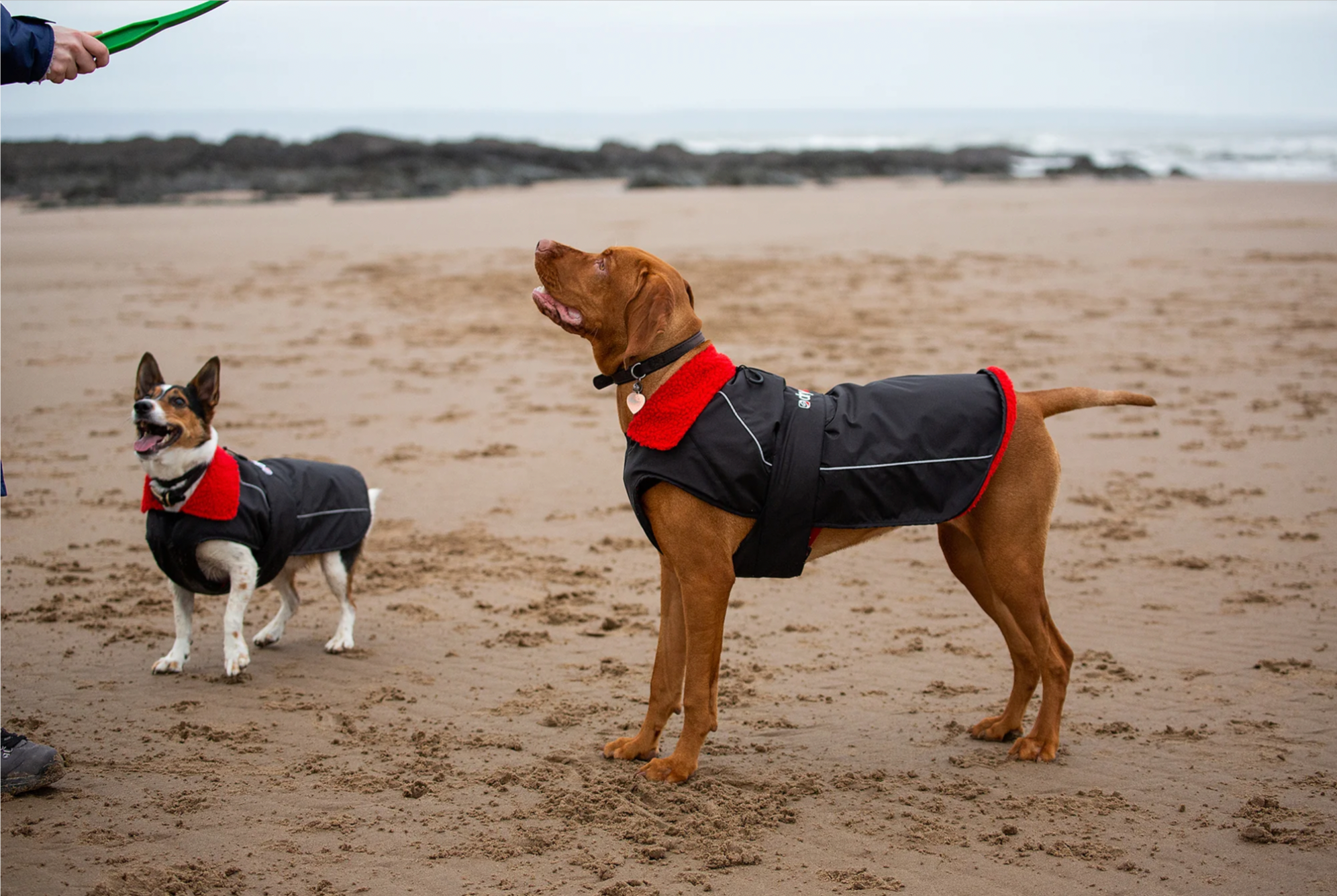 Jobe Pet Vest Lime Teal==== Black/Red===SALE
