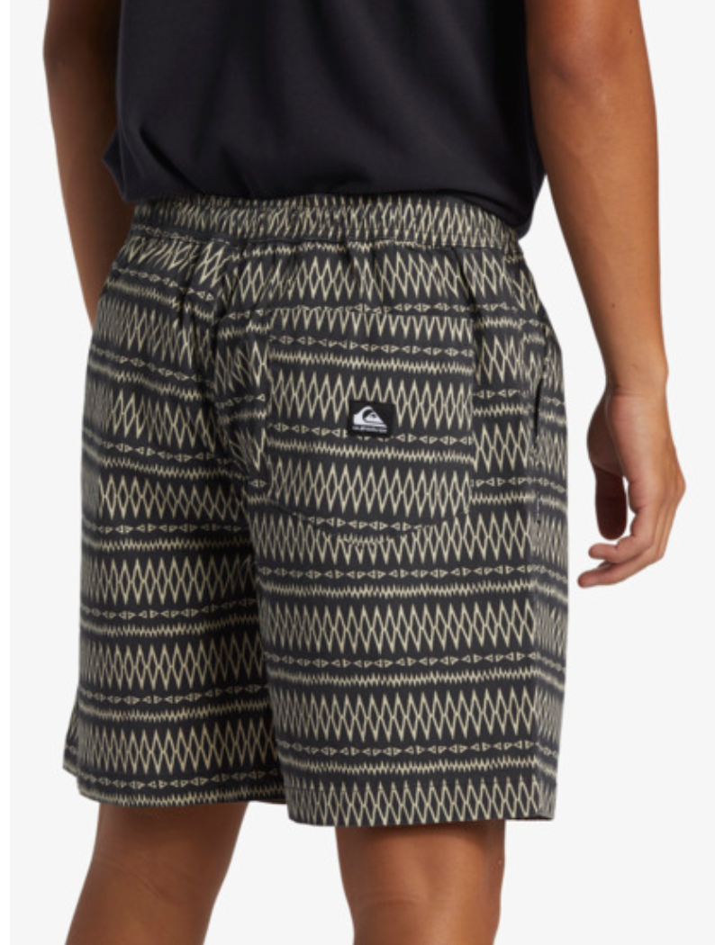 Quiksilver Taxer - Walk Shorts For Men