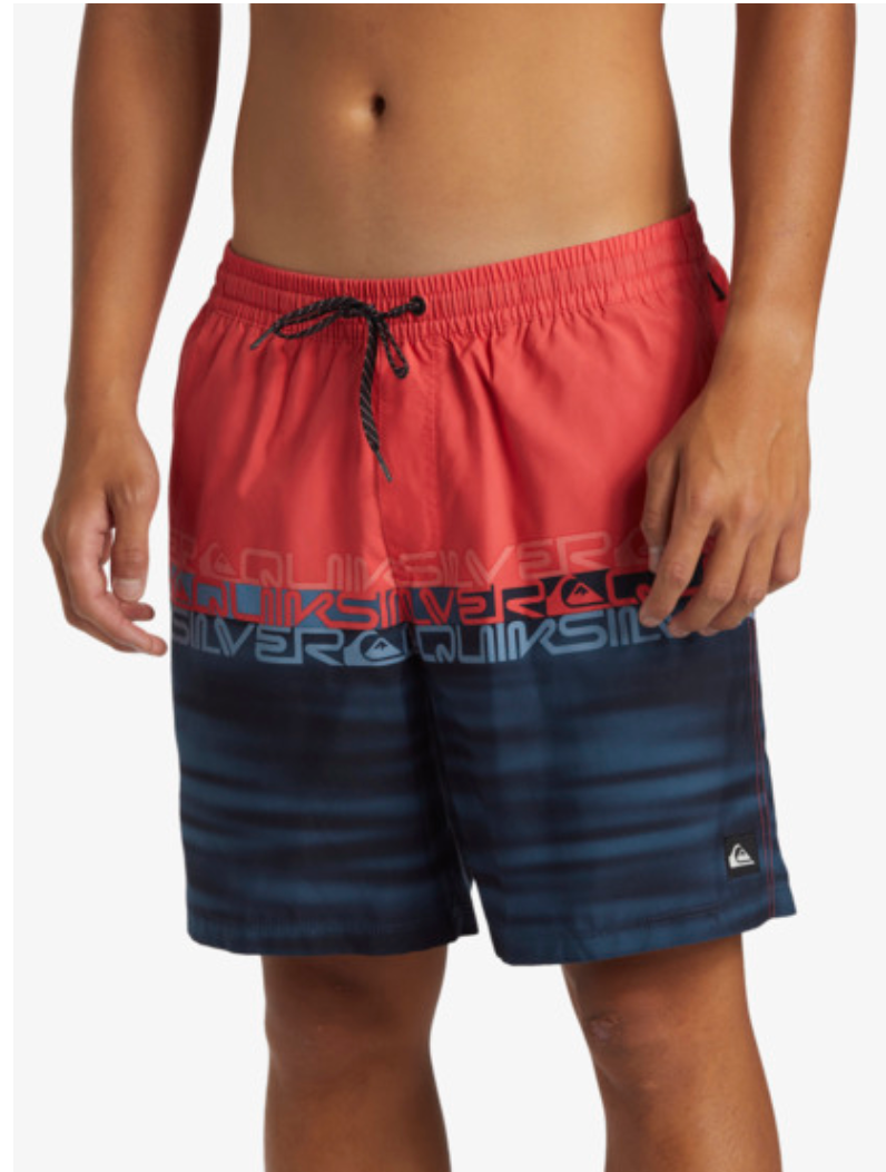Quiksilver Everyday Wordblock Volley 17" - Swim Shorts For Men
