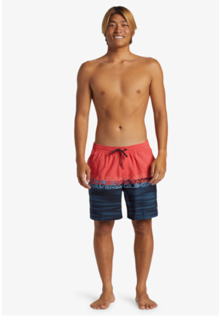 Quiksilver Everyday Wordblock Volley 17" - Swim Shorts For Men