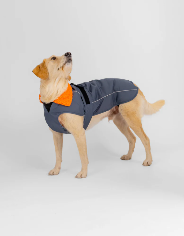 Dryrobe Dark Grey Orange Dog Coat