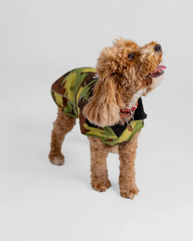 Dryrobe Green Camouflage Black Dog Coat