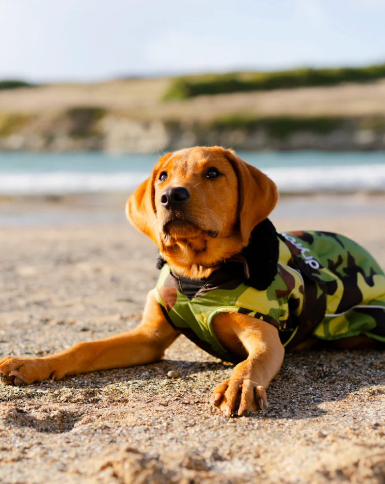 Dryrobe Green Camouflage Black Dog Coat