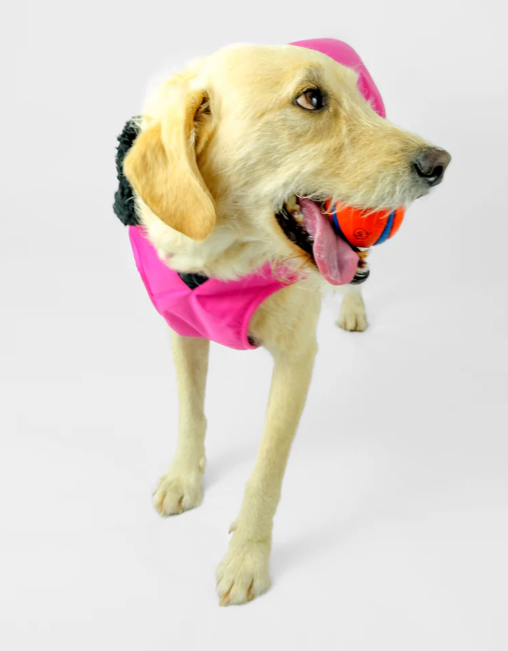 Dryrobe Pink Black Dog Coat