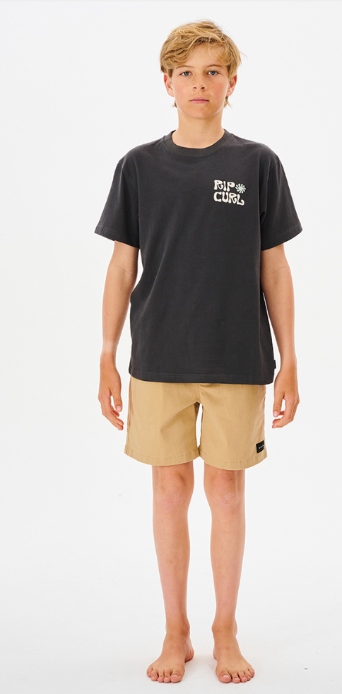 Rip Curl Salt Water Culture Organic Matters Tee Boy