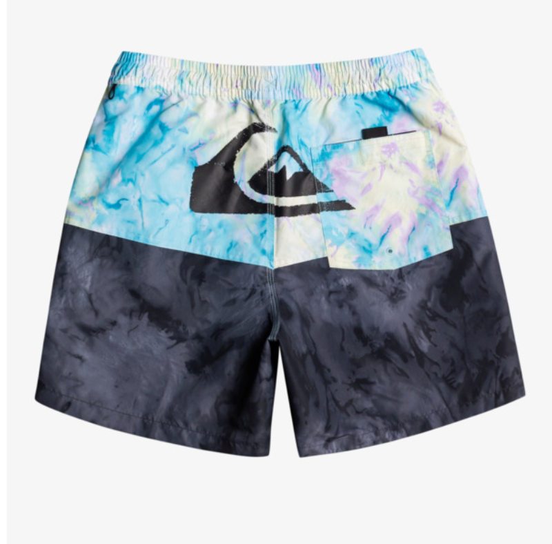 Quiksilver Butt Logo 17" - Swim Shorts For Men