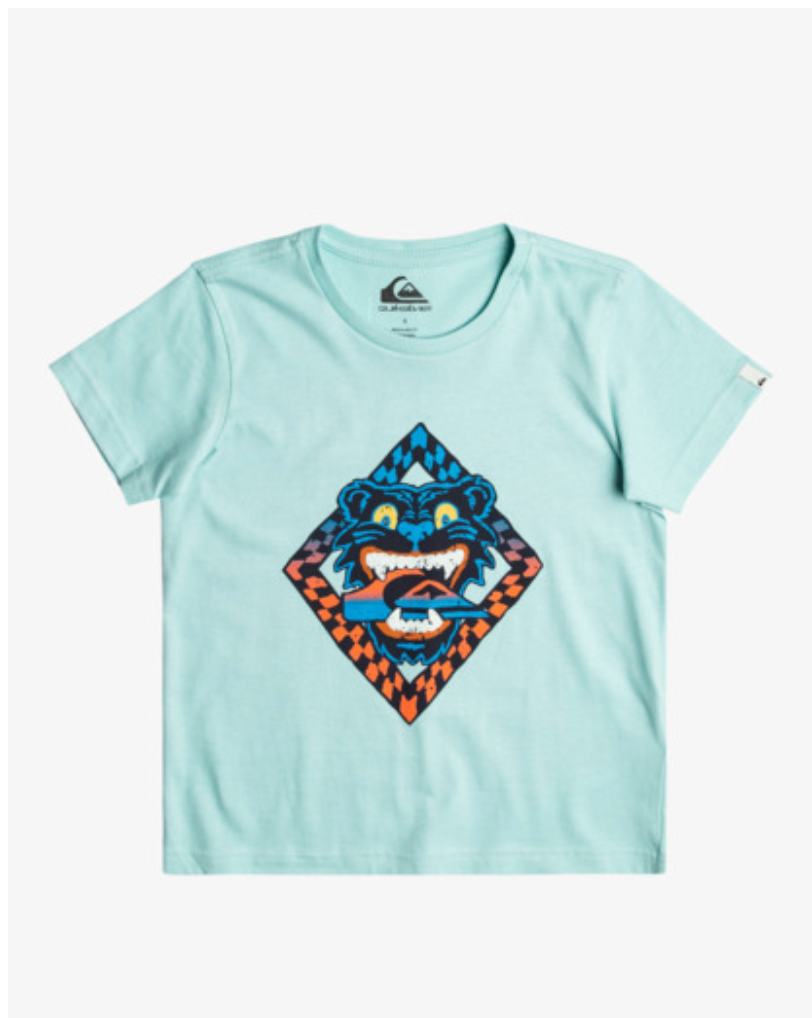 Quiksilver Dirty Paws - T-Shirt For Boys 8-16