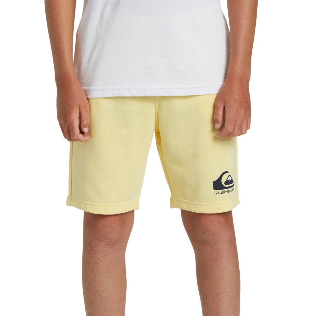 Quiksilver Easy Day - Sweat Shorts For Boys 8-16