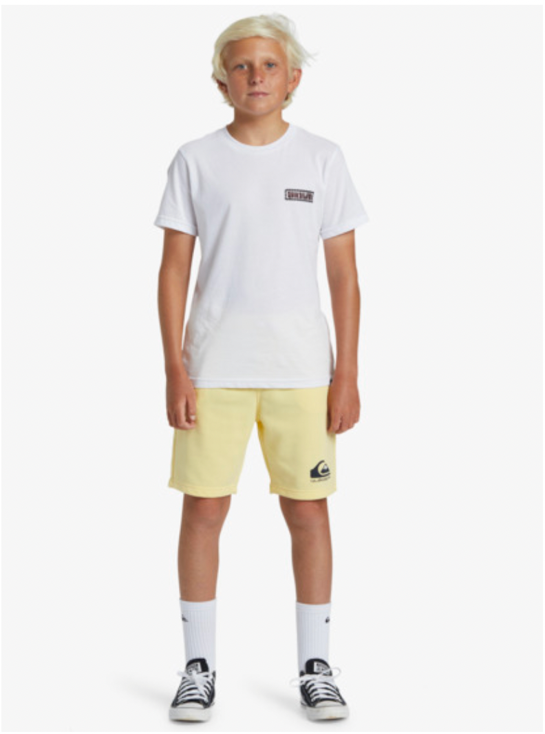 Quiksilver Easy Day - Sweat Shorts For Boys 8-16