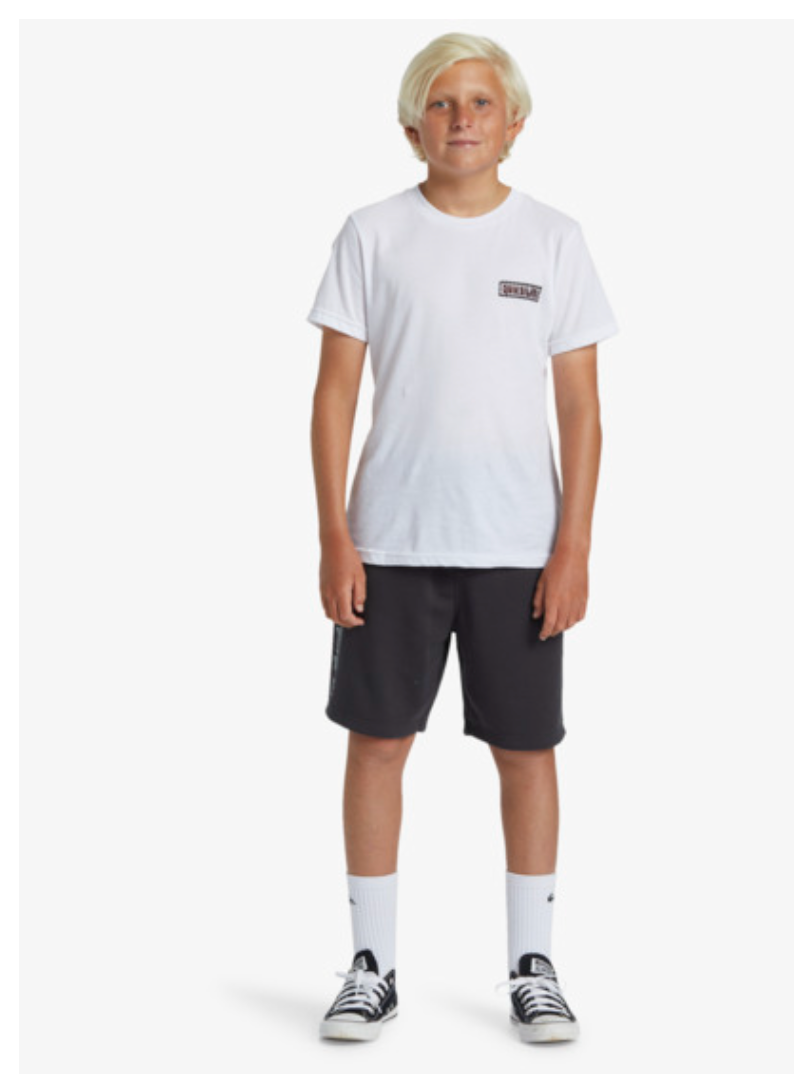 QUIKSILVER Take Us Back - Sweat Shorts for Boys 8-16