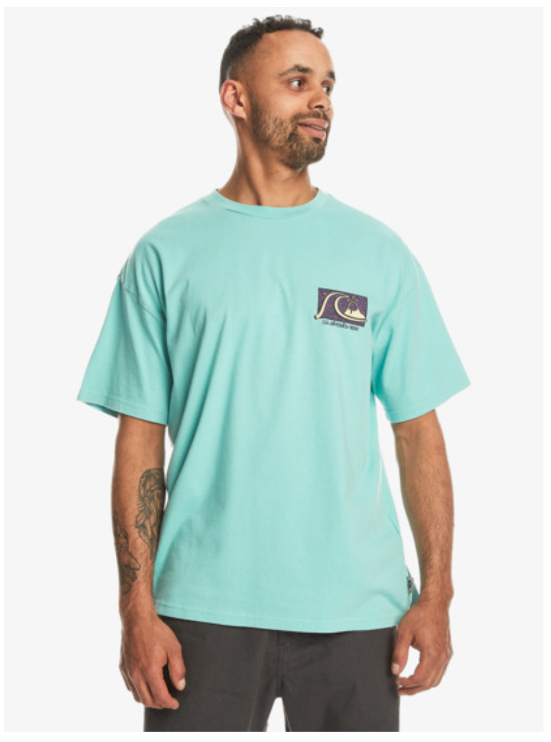 Quiksilver Take Us Back T-Shirt