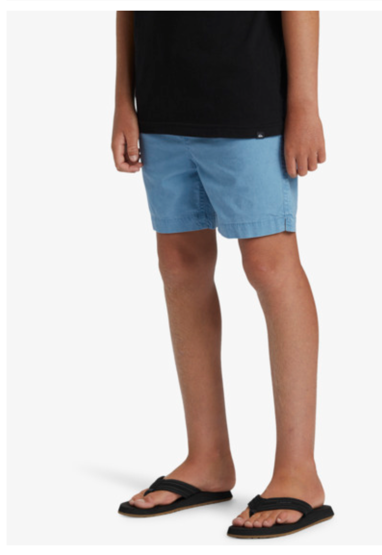 Quiksilver Taxer - Walk Shorts For Boys 8-16