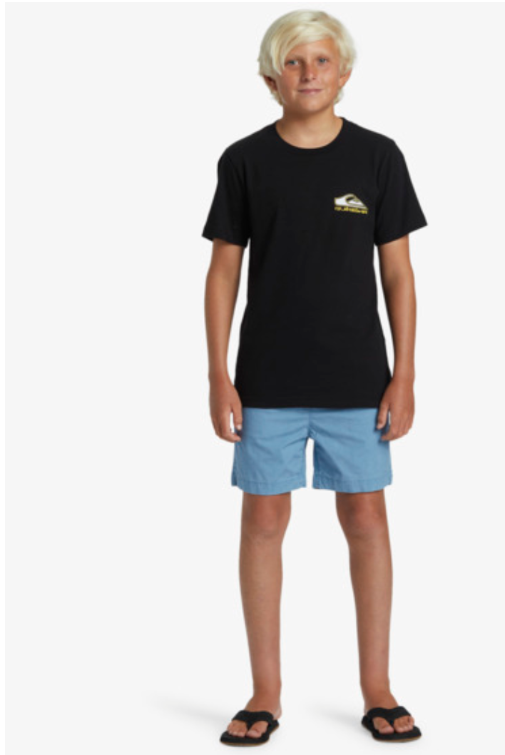 Quiksilver Taxer - Walk Shorts For Boys 8-16