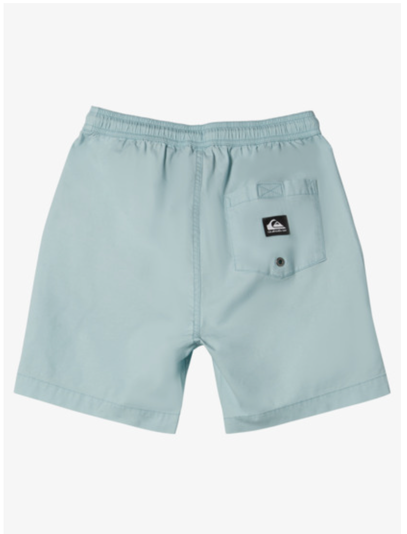 Quiksilver Taxer - Elasticated Waist Walk Shorts For Boys 2-7