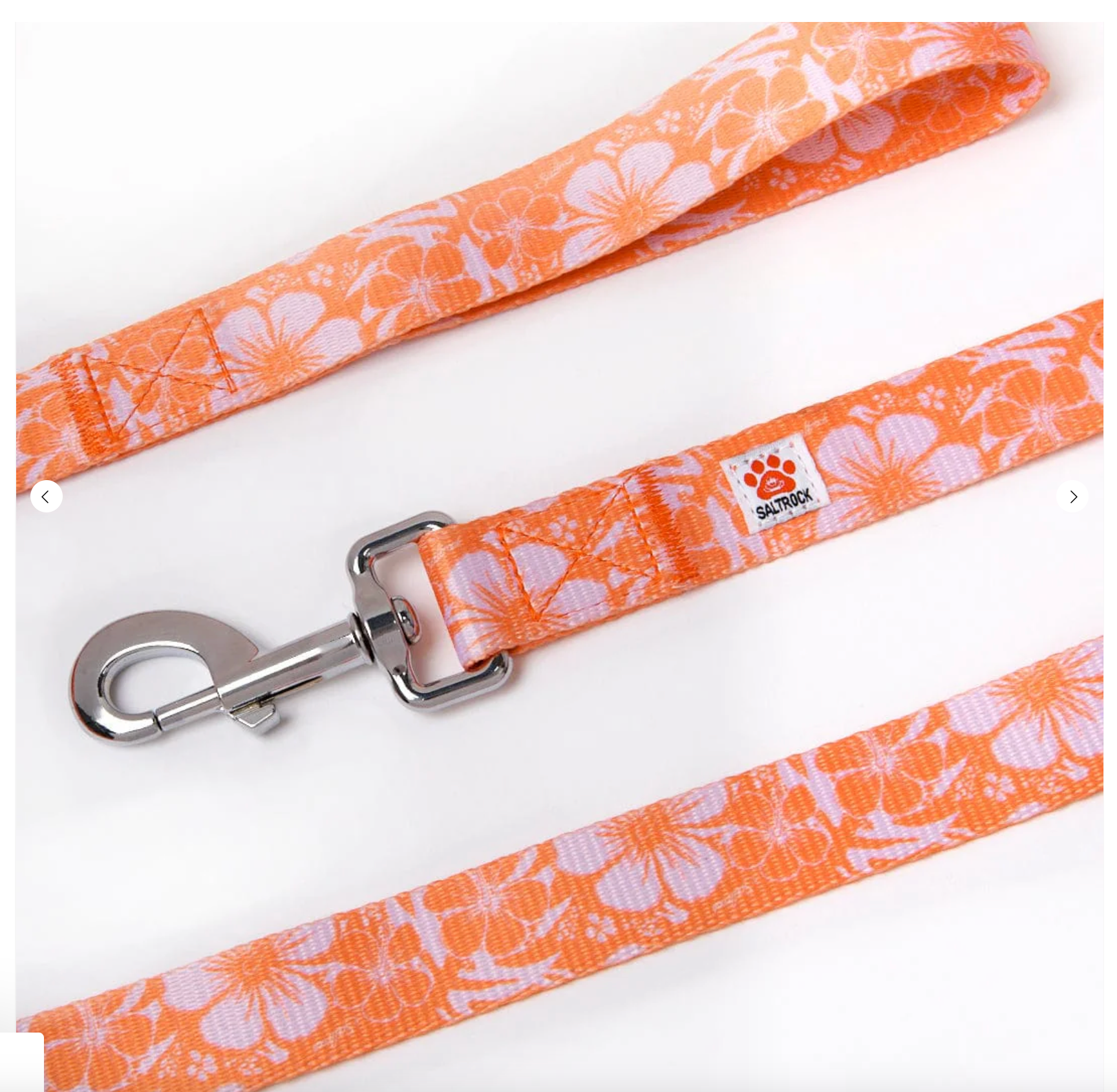 Saltrock Hibiscus - Dog Lead - Orange