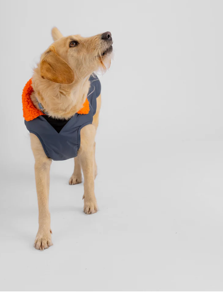 Dryrobe Dark Grey Orange Dog Coat