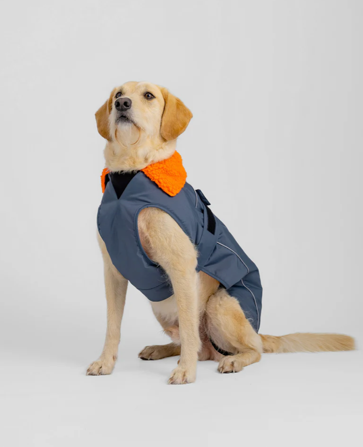 Dryrobe Dark Grey Orange Dog Coat