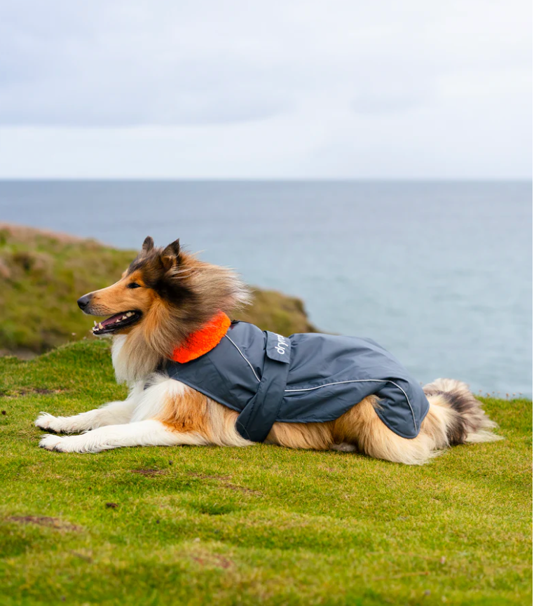 Dryrobe Dark Grey Orange Dog Coat