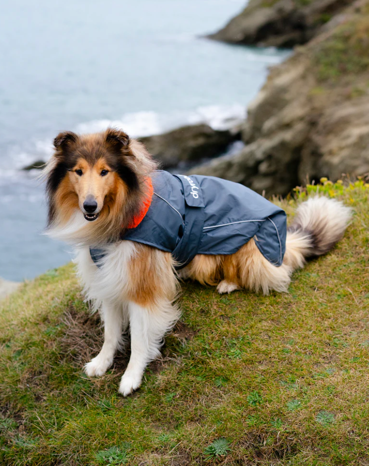 Dryrobe Dark Grey Orange Dog Coat