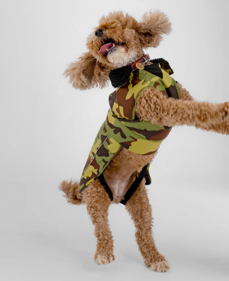 Dryrobe Green Camouflage Black Dog Coat
