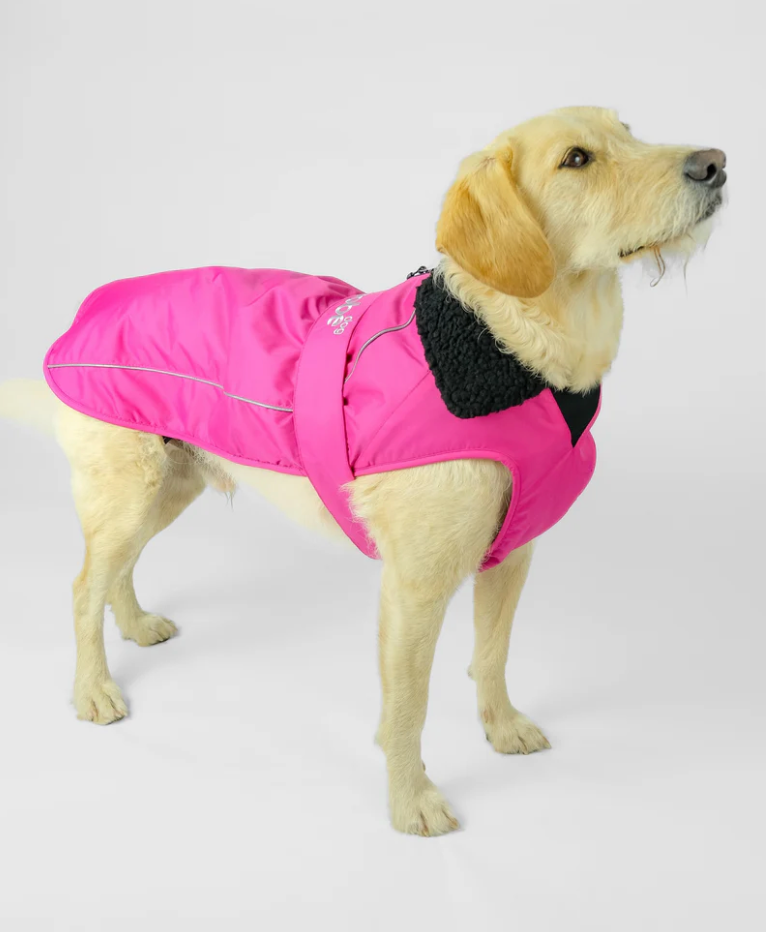Dryrobe Pink Black Dog Coat