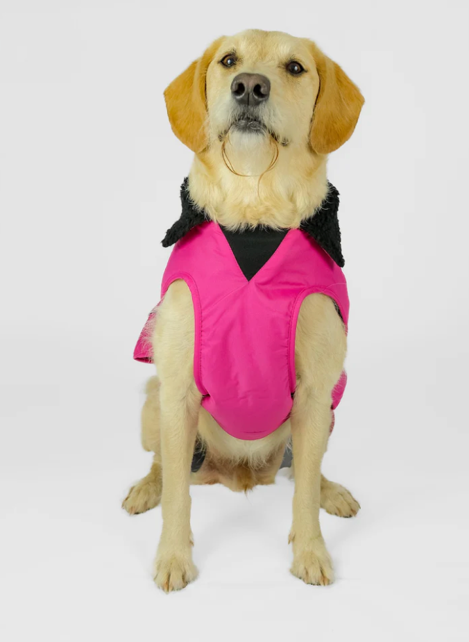 Dryrobe Pink Black Dog Coat
