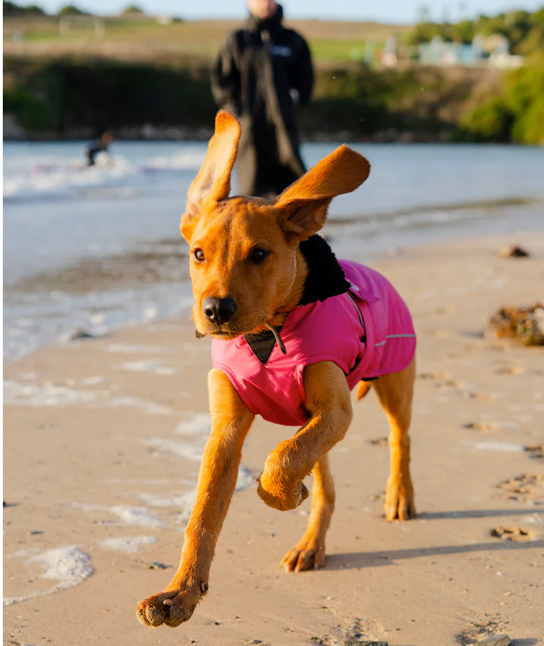 Dryrobe Pink Black Dog Coat