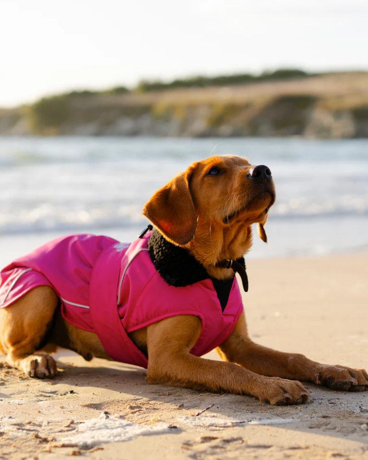 Dryrobe Pink Black Dog Coat