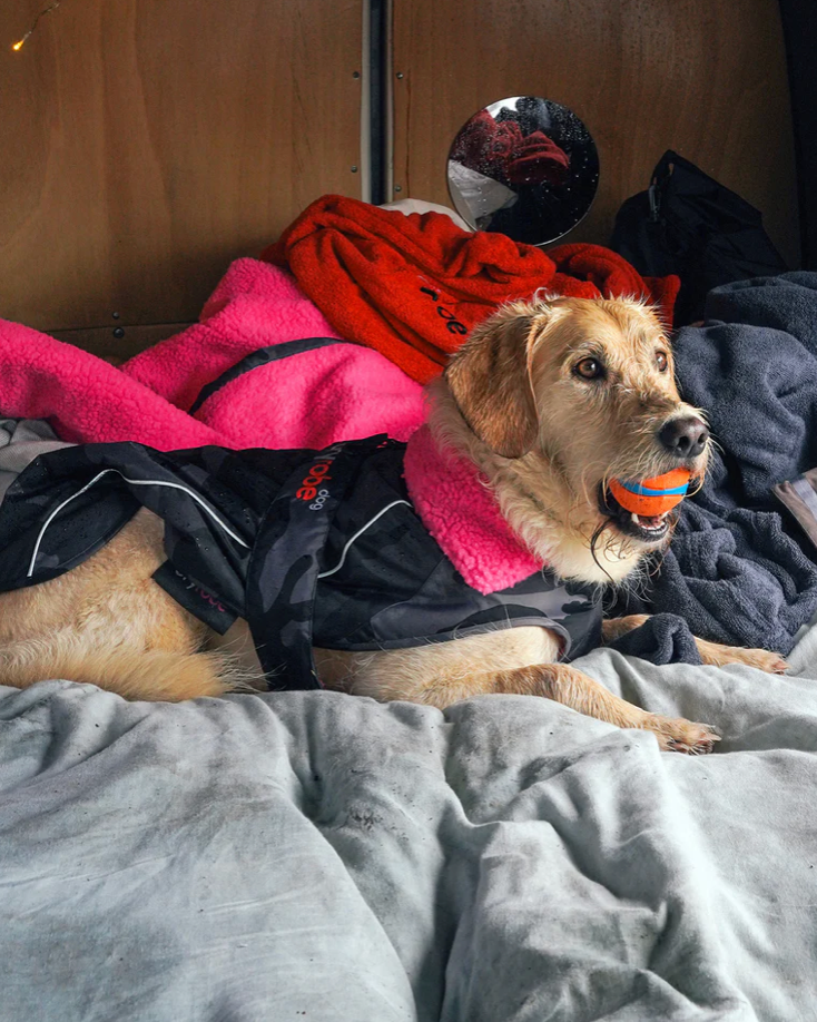 Dryrobe Black Camo Pink Dog Coat