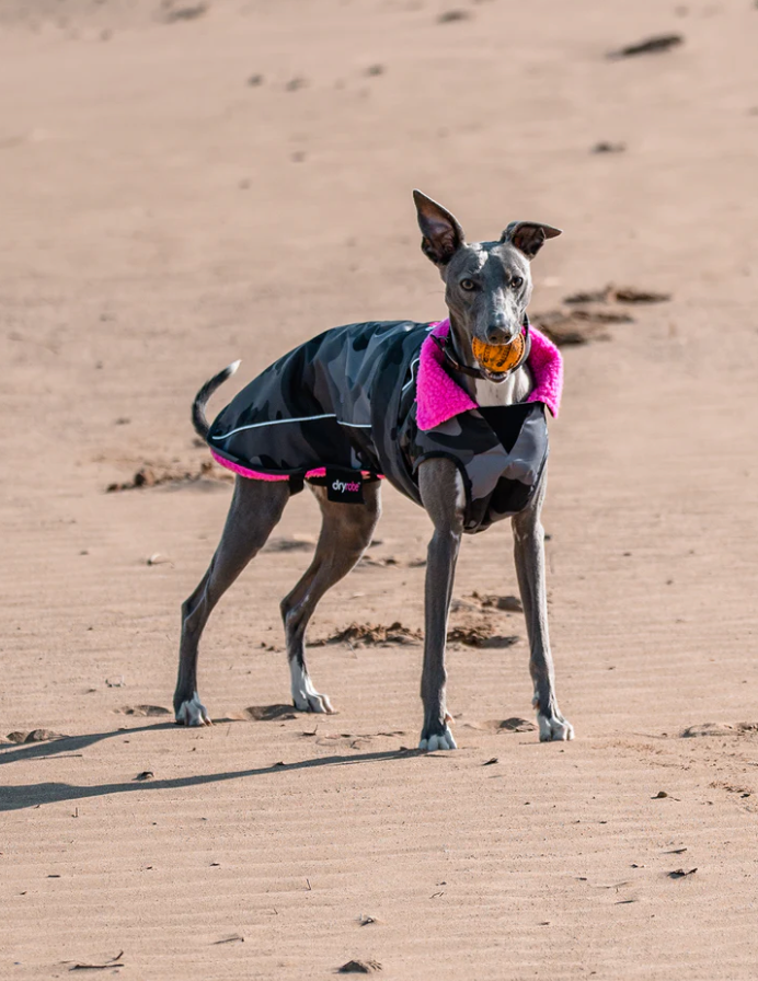 Dryrobe Black Camo Pink Dog Coat