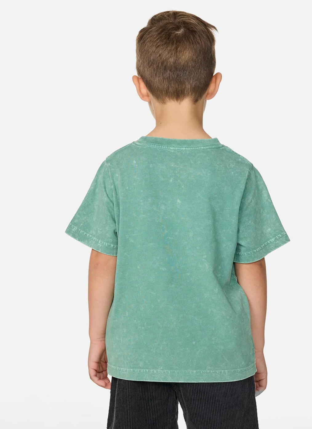 Ripcurl ride the wave boys t-shirts