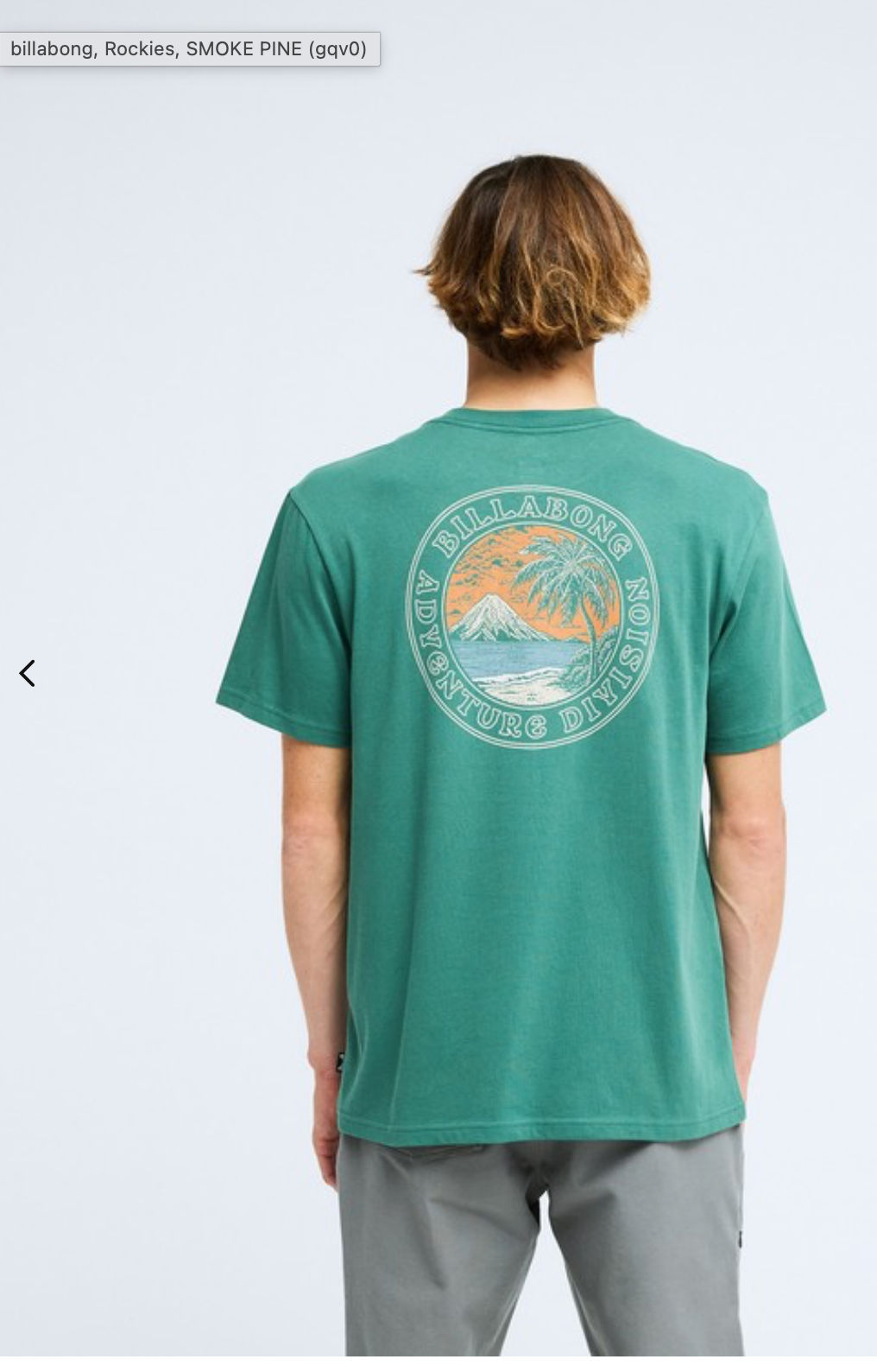 Billabong Rockies Men Green Short Sleeve T-Shirt