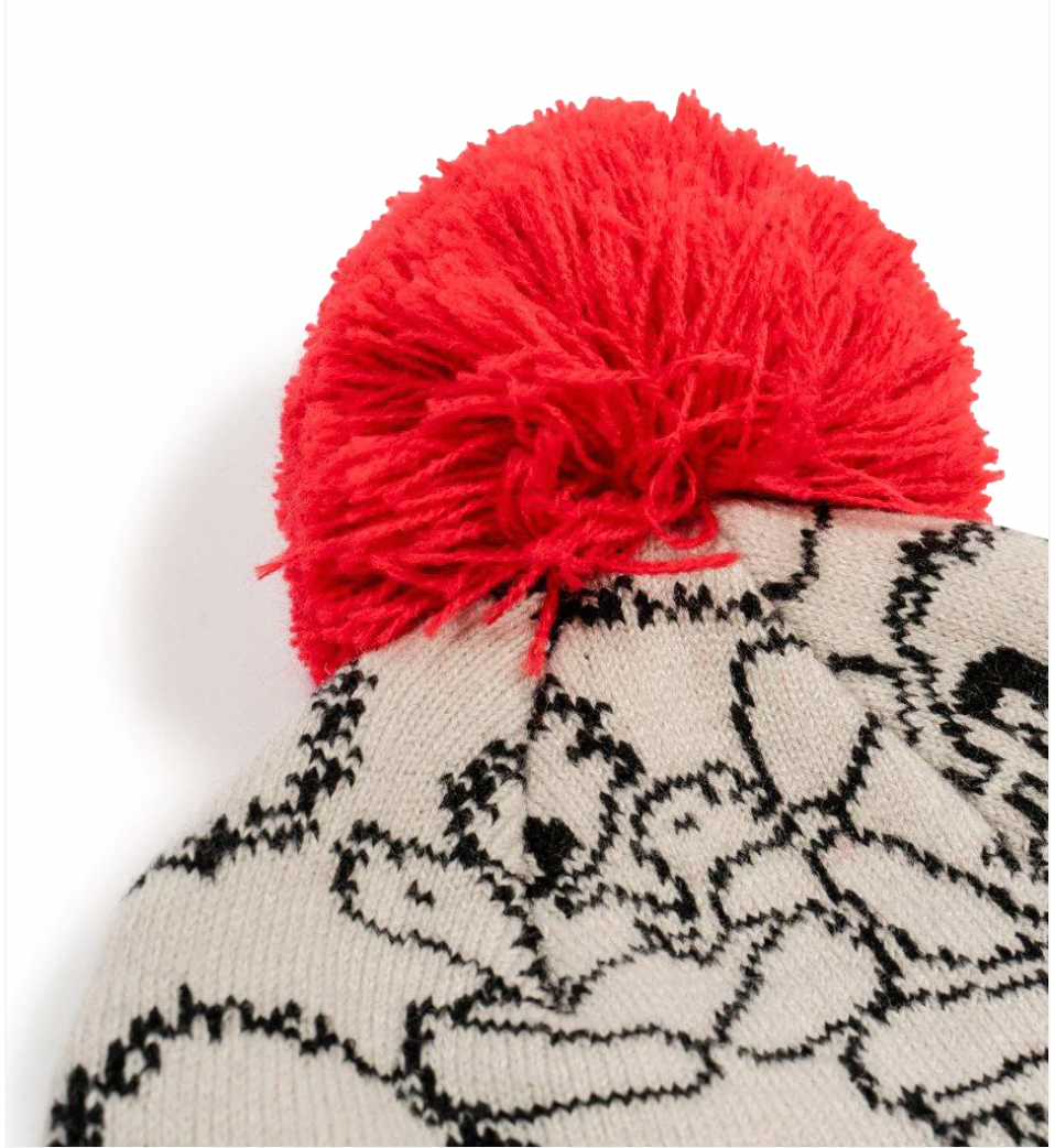 SALT ROCK -Yoga - Boys Pom Pom Beanie - Red