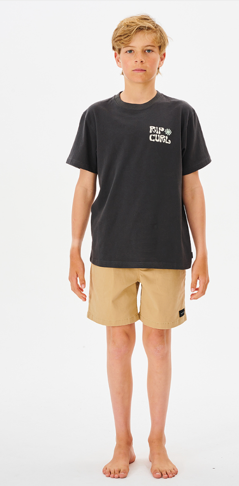 RIPCURL Salt Water Culture Organic Matters Tee Boy