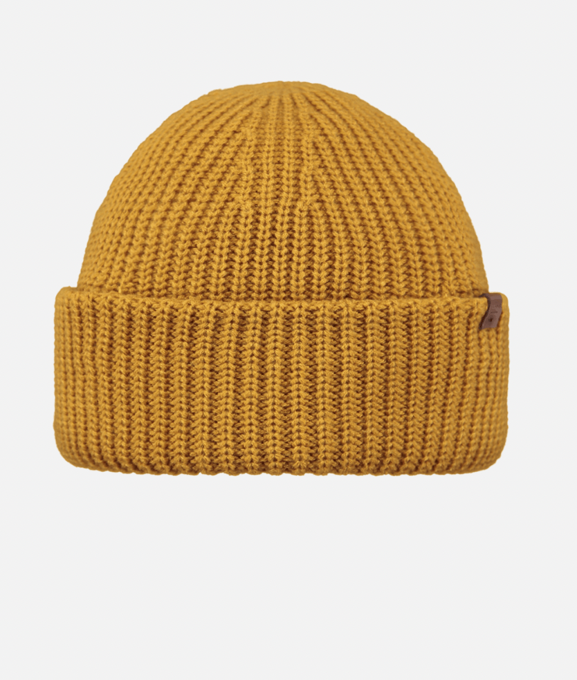 BARTS DERVAL BEANIE Cuffed beanie men