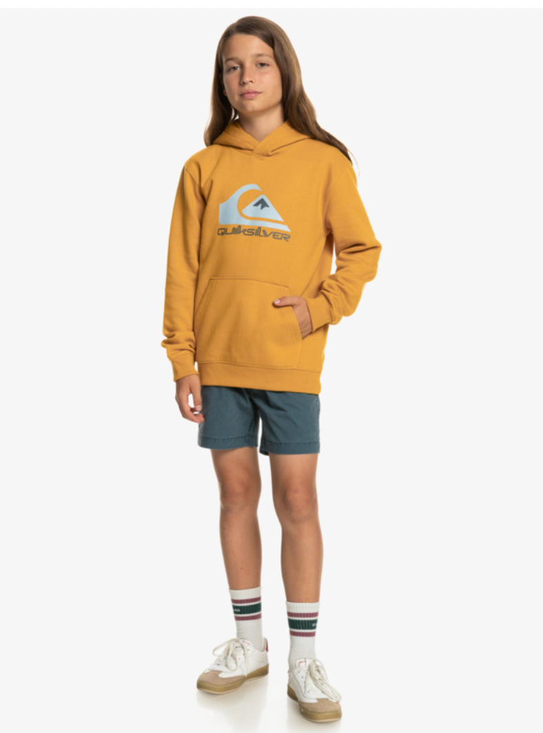 Quiksilver Biglogoy -Hoodie For Boys