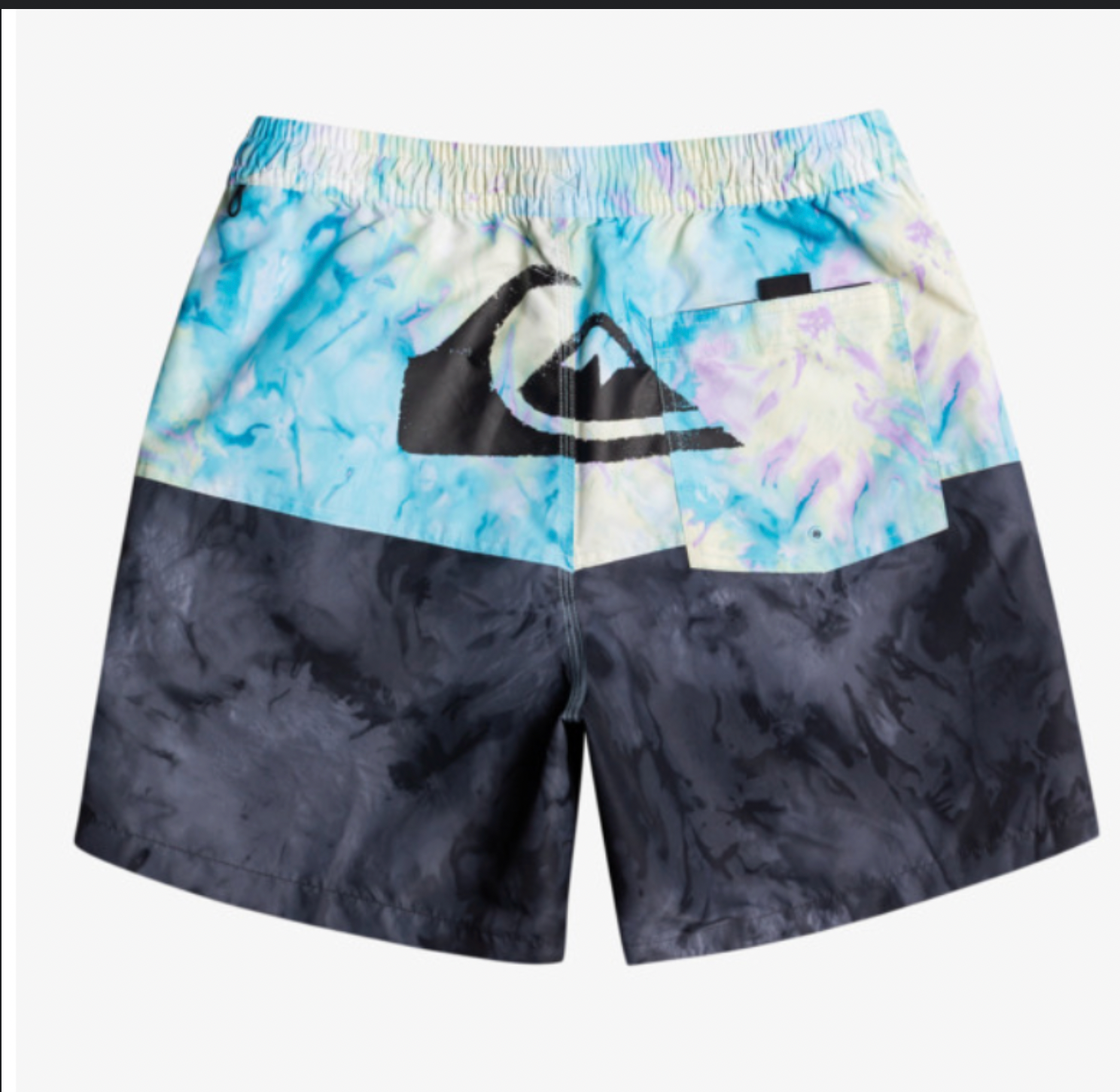 Quiksilver Butt Logo Shorts