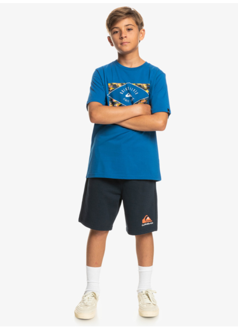 Quiksilver Easy Day - Sweat Shorts For Boys 8-16