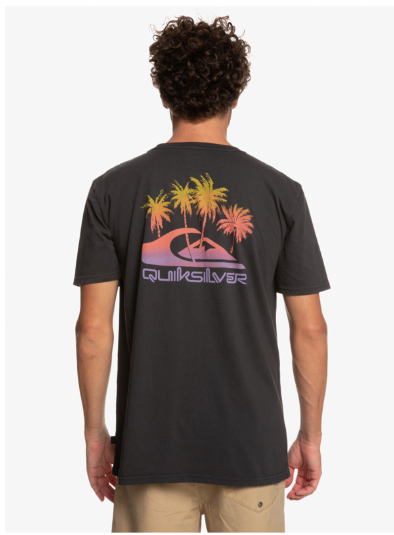 QUIKILVER Pastime Paradise - T-Shirt for Men